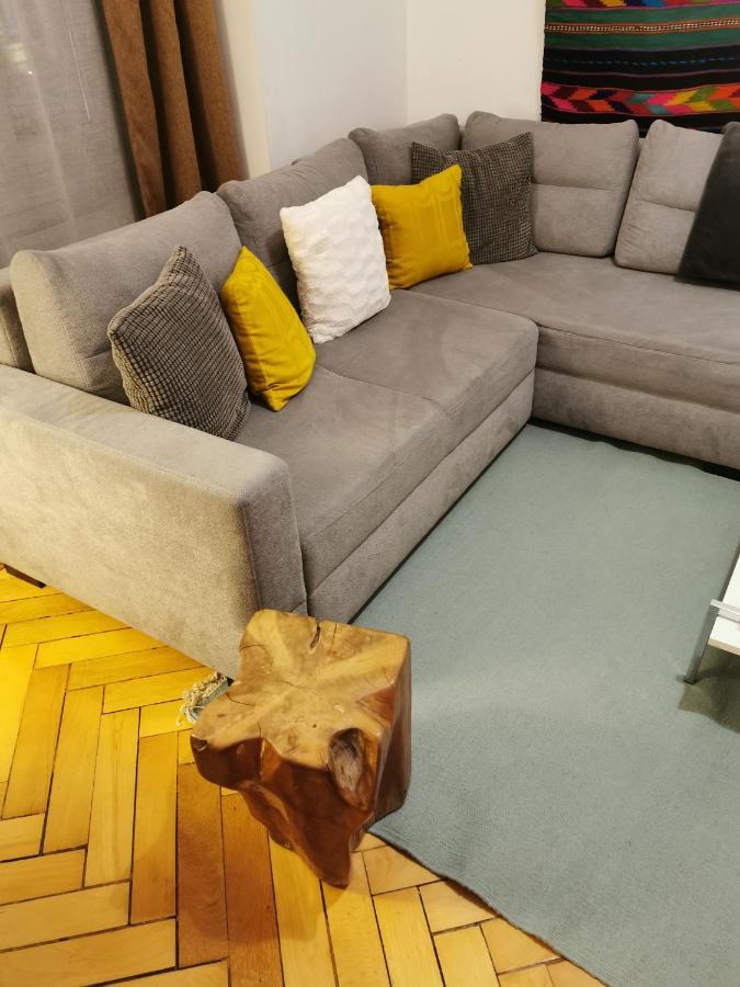 Neo Apartment Studio-Loft クルージュ＝ナポカ エクステリア 写真